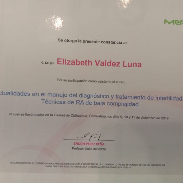 Ampliar imagen: certificate 3