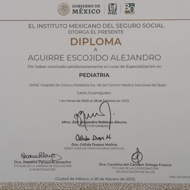 Ampliar imagen: certificate 4