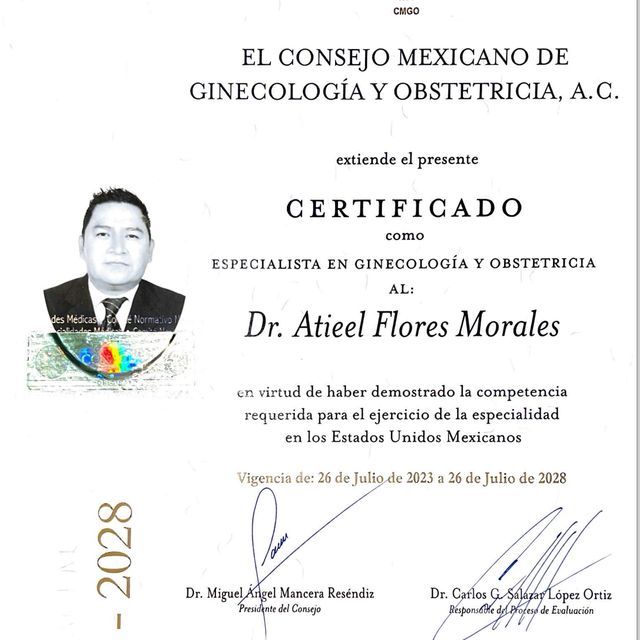 Ampliar imagen: certificate 2