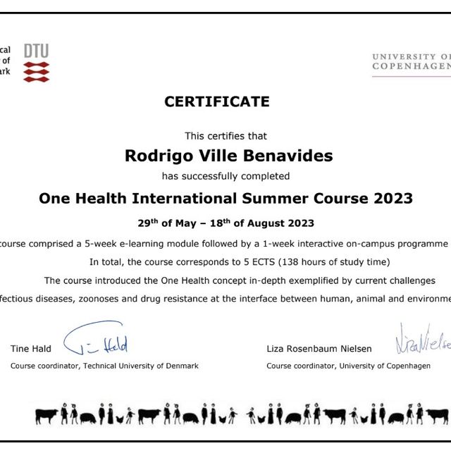 Ampliar imagen: certificate 11