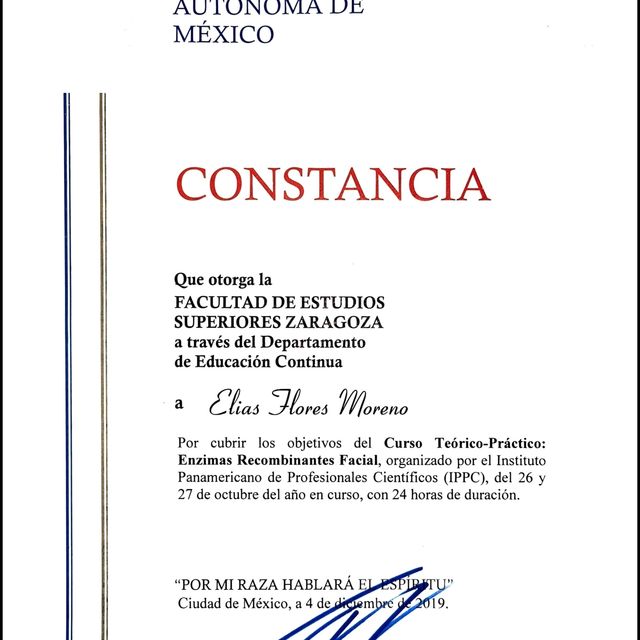 Ampliar imagen: certificate 6