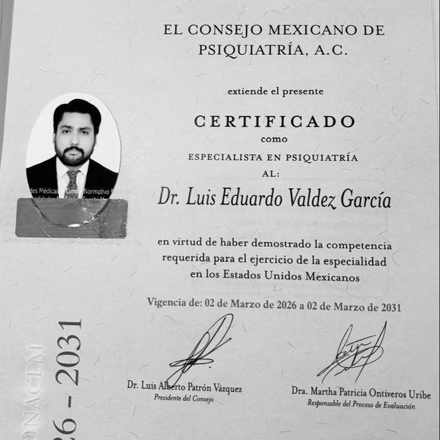 Ampliar imagen: certificate 3