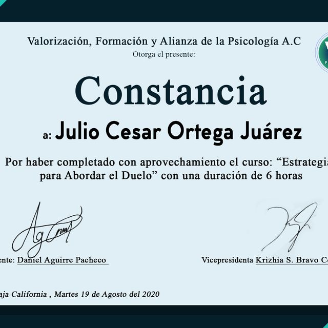 Ampliar imagen: certificate 1