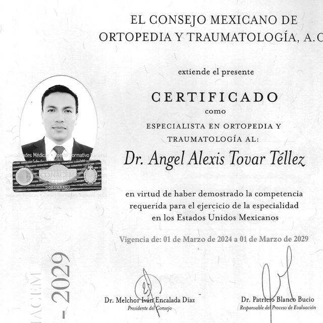 Ampliar imagen: certificate 2