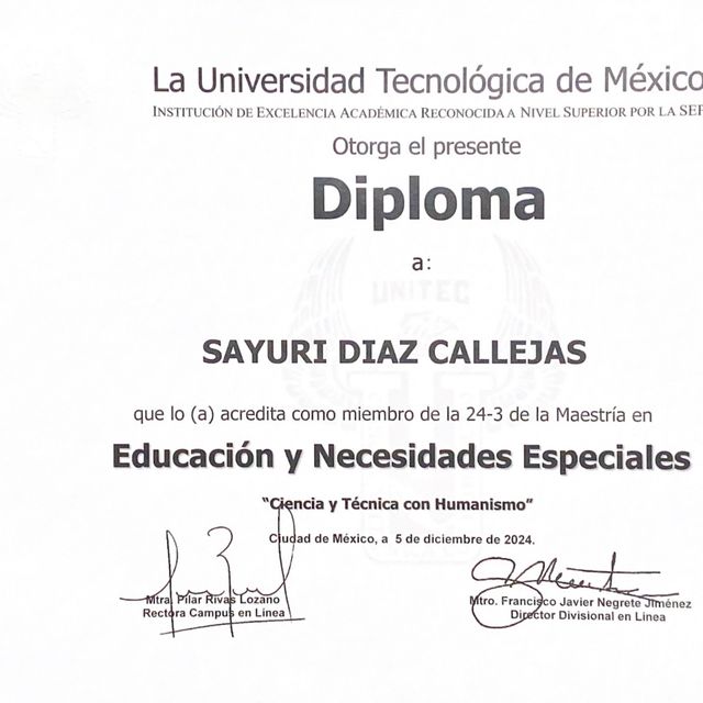 Ampliar imagen: certificate 2