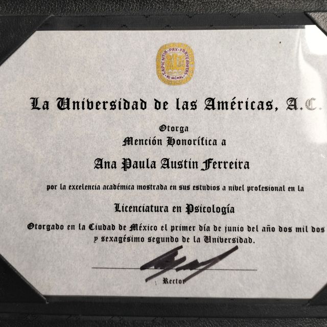 Ampliar imagen: certificate 3