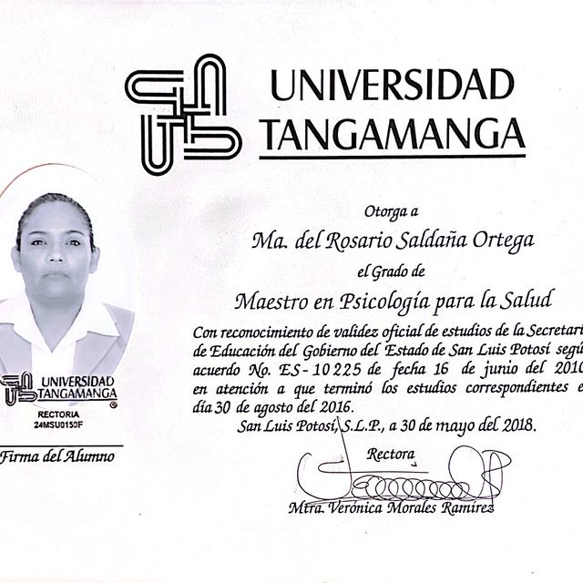 Ampliar imagen: certificate 5