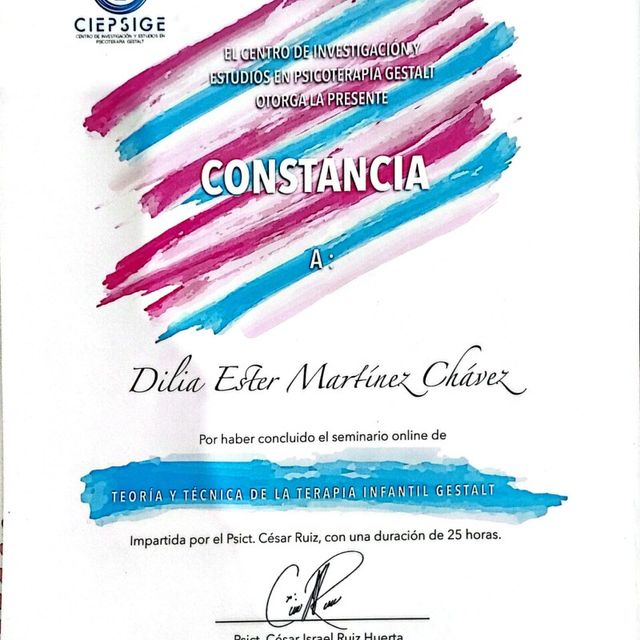 Ampliar imagen: certificate 2