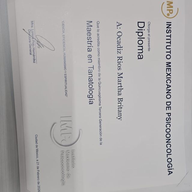Ampliar imagen: certificate 3