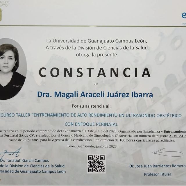 Ampliar imagen: certificate 1
