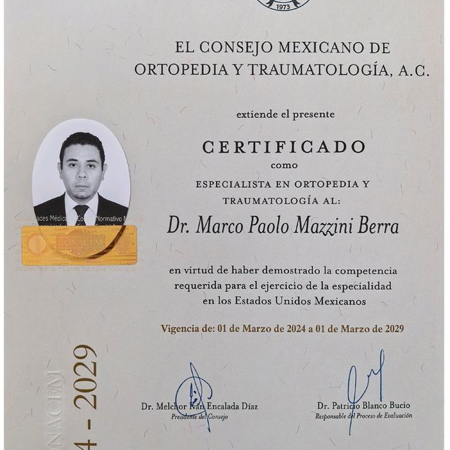 Ampliar imagen: certificate 1
