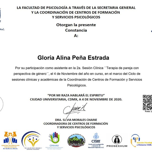 Ampliar imagen: certificate 45
