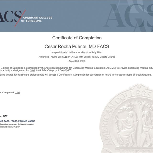 Ampliar imagen: certificate 96