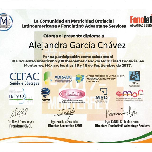 Ampliar imagen: certificate 5