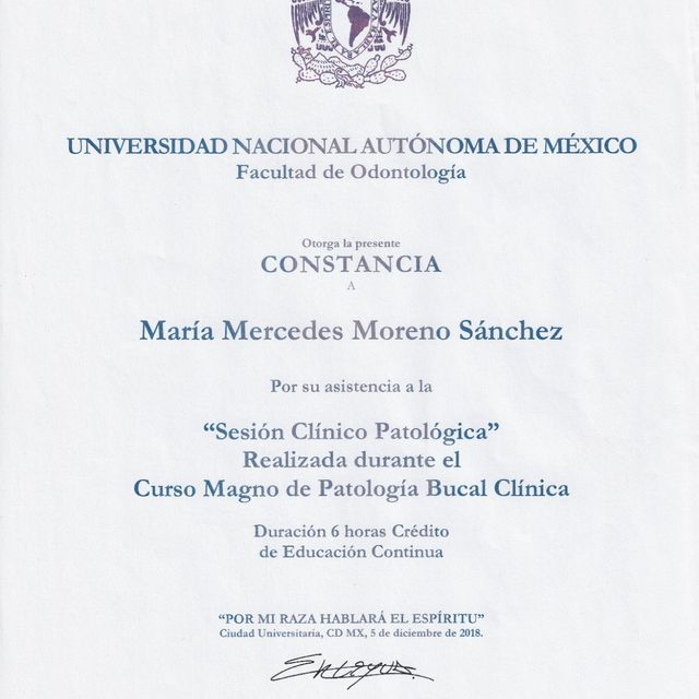 Ampliar imagen: certificate 4