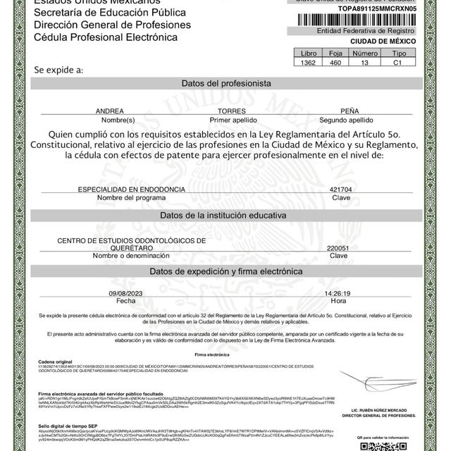 Ampliar imagen: certificate 3