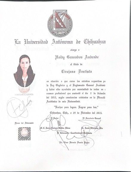 Ampliar imagen: certificate 2
