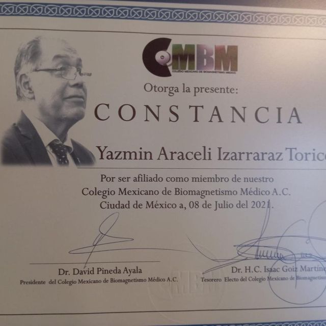 Ampliar imagen: certificate 3