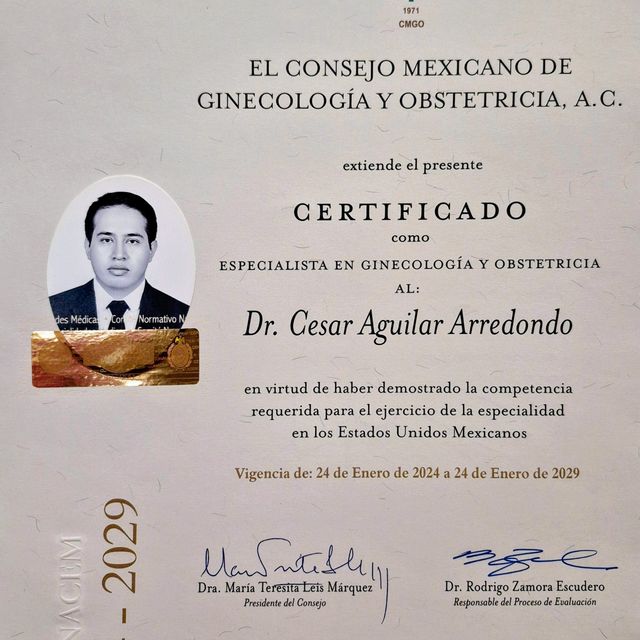 Ampliar imagen: certificate 1