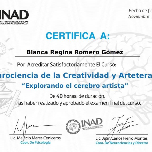 Ampliar imagen: certificate 3