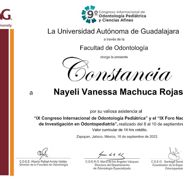 Ampliar imagen: certificate 7