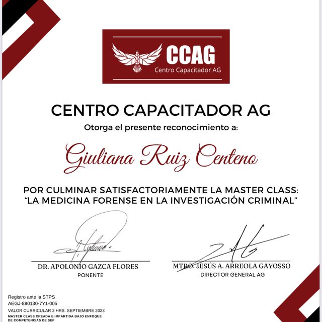 Ampliar imagen: certificate 1