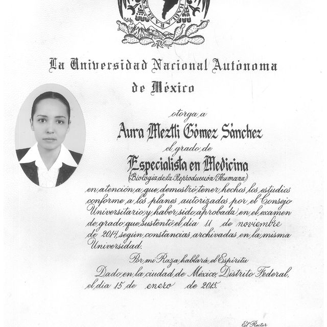 Ampliar imagen: certificate 2