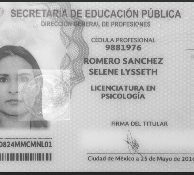 Ampliar imagen: certificate 3