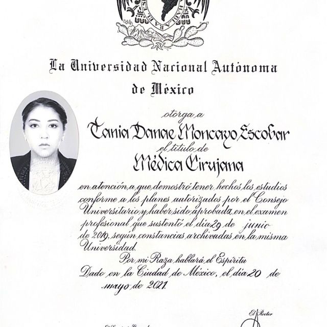 Ampliar imagen: certificate 4