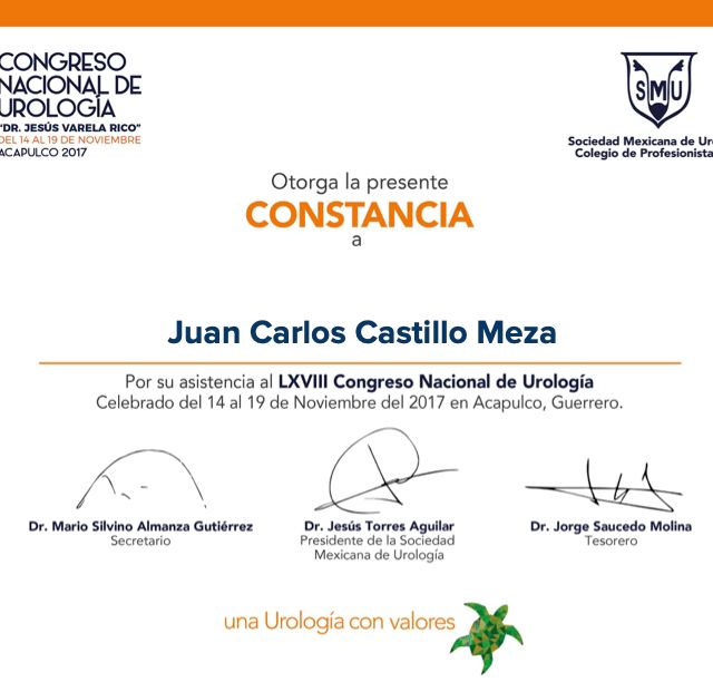 Ampliar imagen: certificate 7