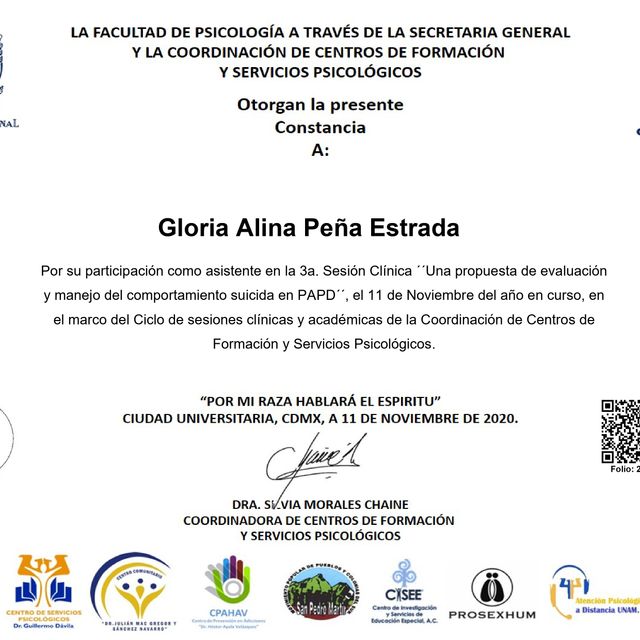 Ampliar imagen: certificate 47