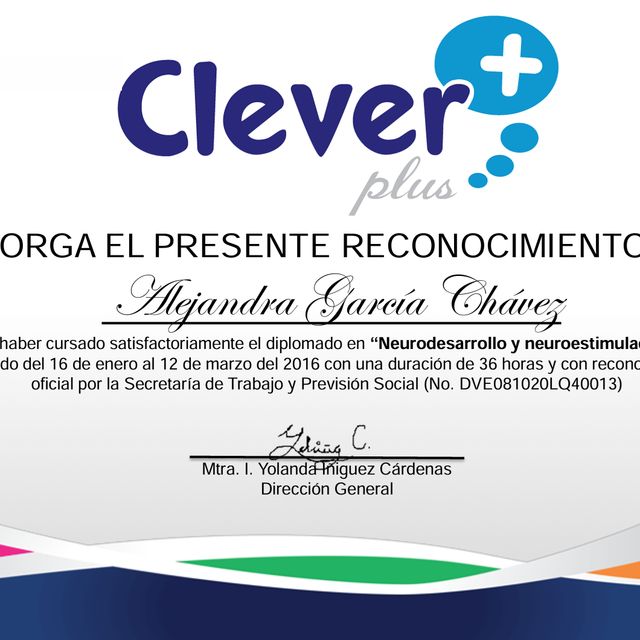 Ampliar imagen: certificate 6