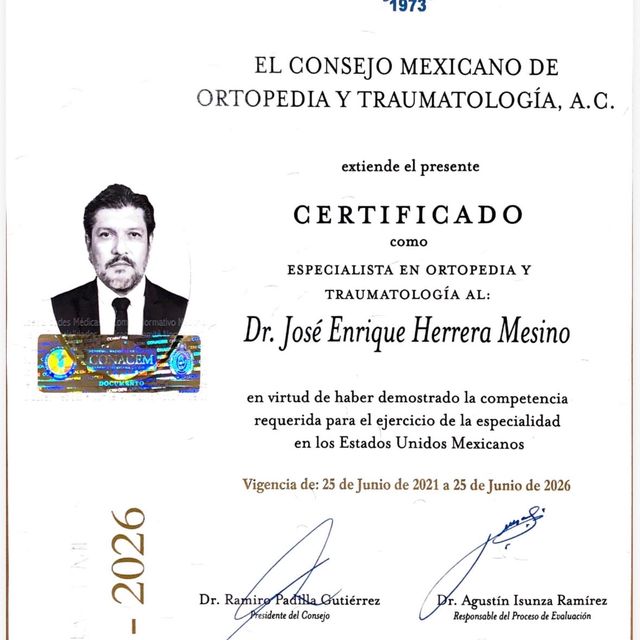 Ampliar imagen: certificate 1