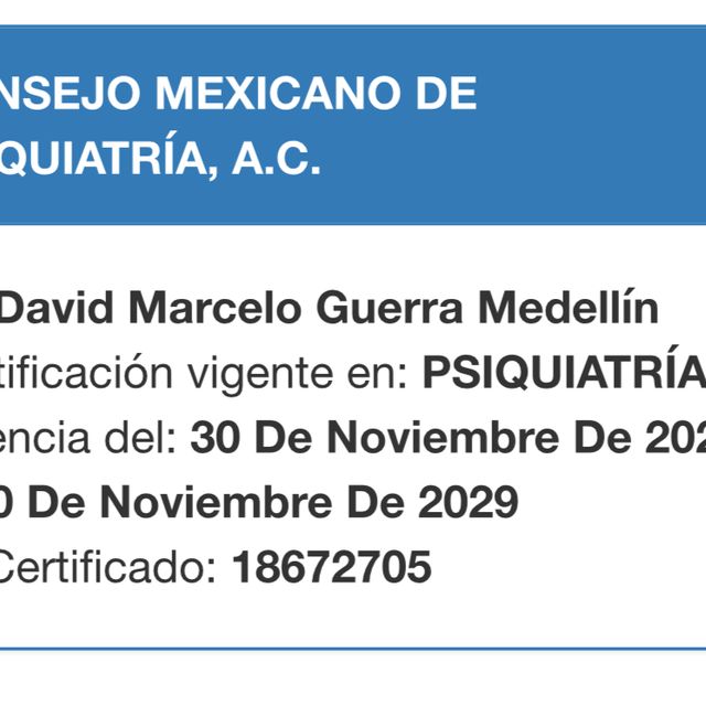 Ampliar imagen: certificate 2