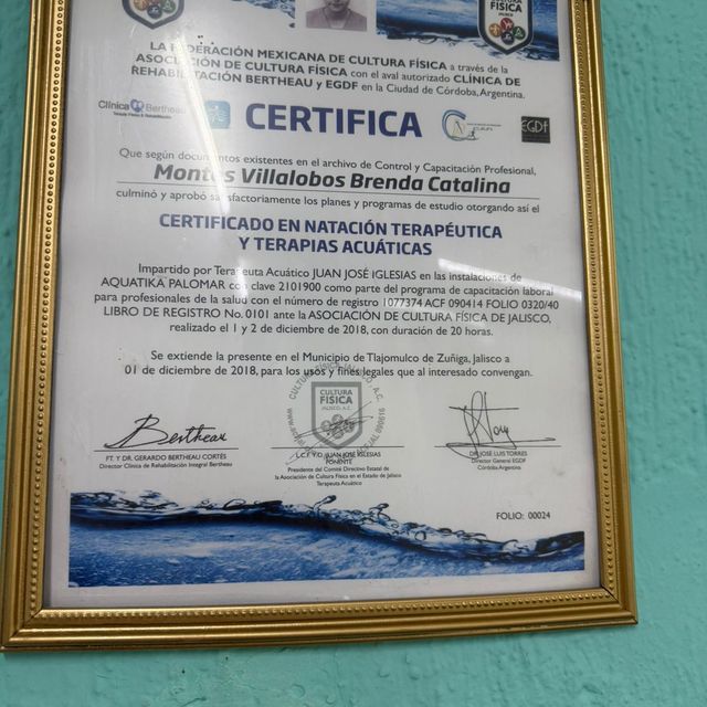 Ampliar imagen: certificate 5
