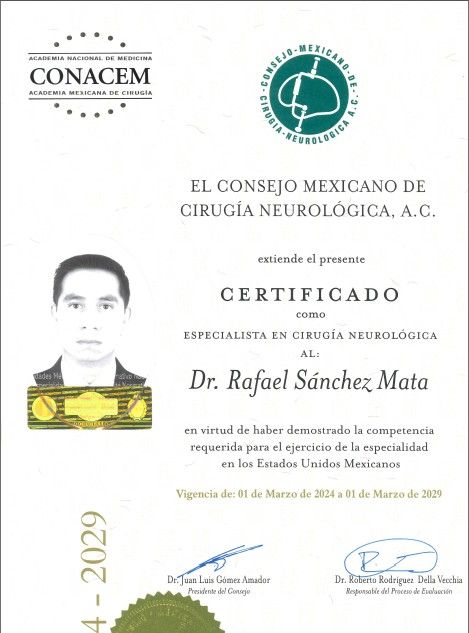 Ampliar imagen: certificate 1