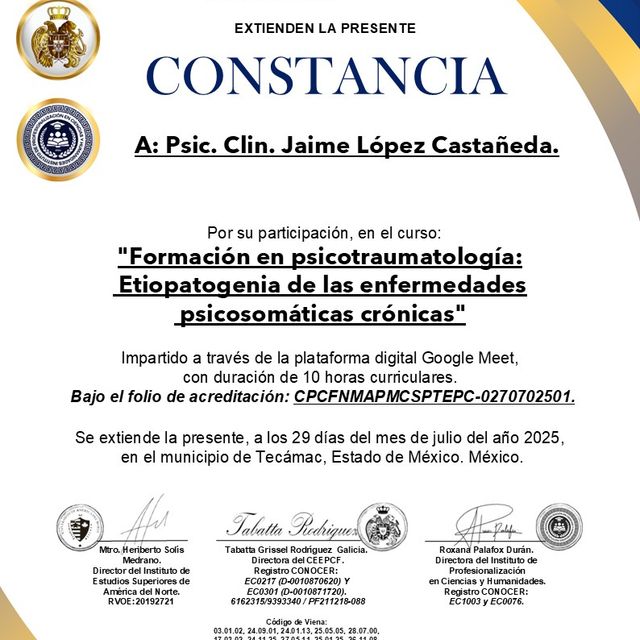 Ampliar imagen: certificate 1