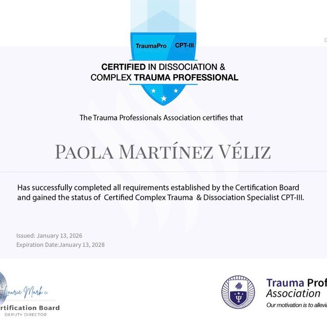 Ampliar imagen: certificate 11