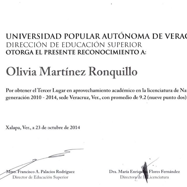 Ampliar imagen: certificate 5