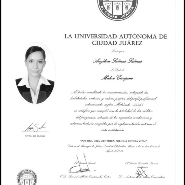 Ampliar imagen: certificate 4