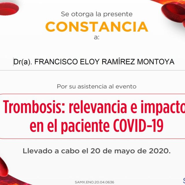 Ampliar imagen: certificate 14