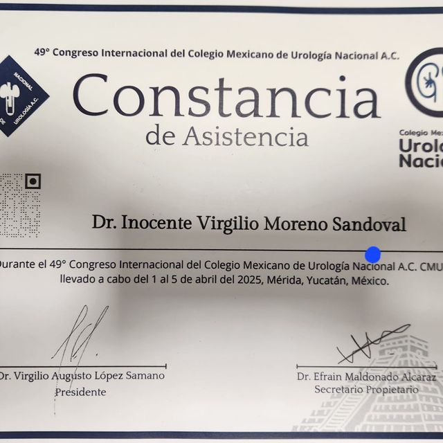Ampliar imagen: certificate 6