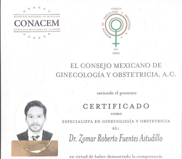 Ampliar imagen: certificate 3