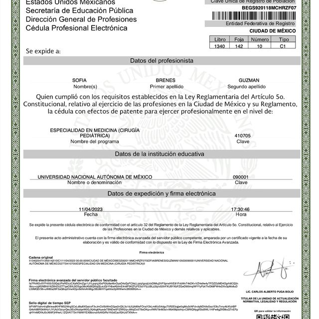 Ampliar imagen: certificate 8