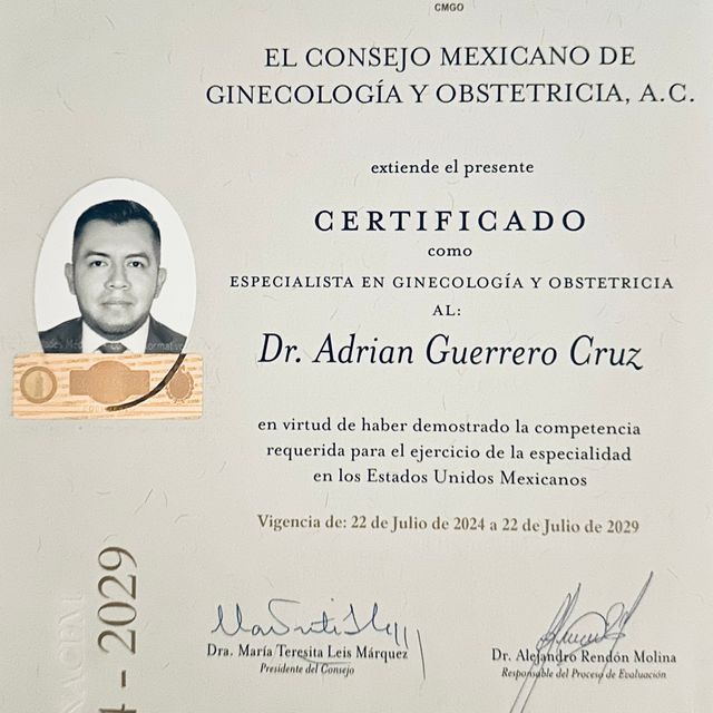 Ampliar imagen: certificate 6