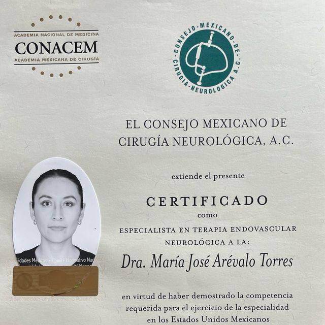 Ampliar imagen: certificate 2