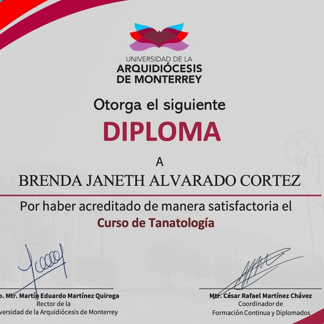 Ampliar imagen: certificate 5
