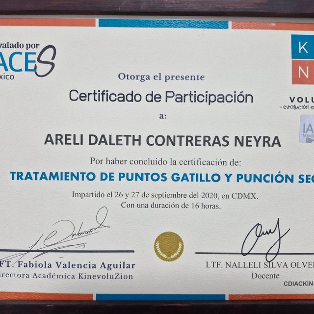 Ampliar imagen: certificate 2