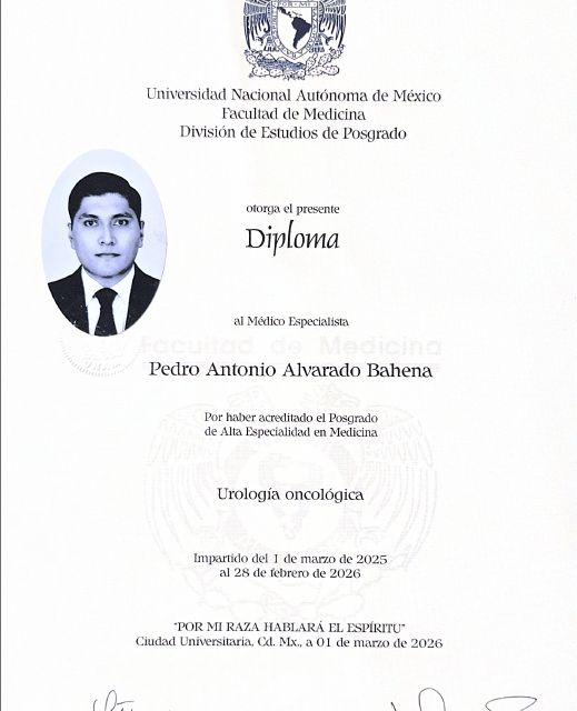 Ampliar imagen: certificate 3
