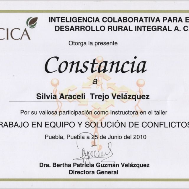 Ampliar imagen: certificate 23